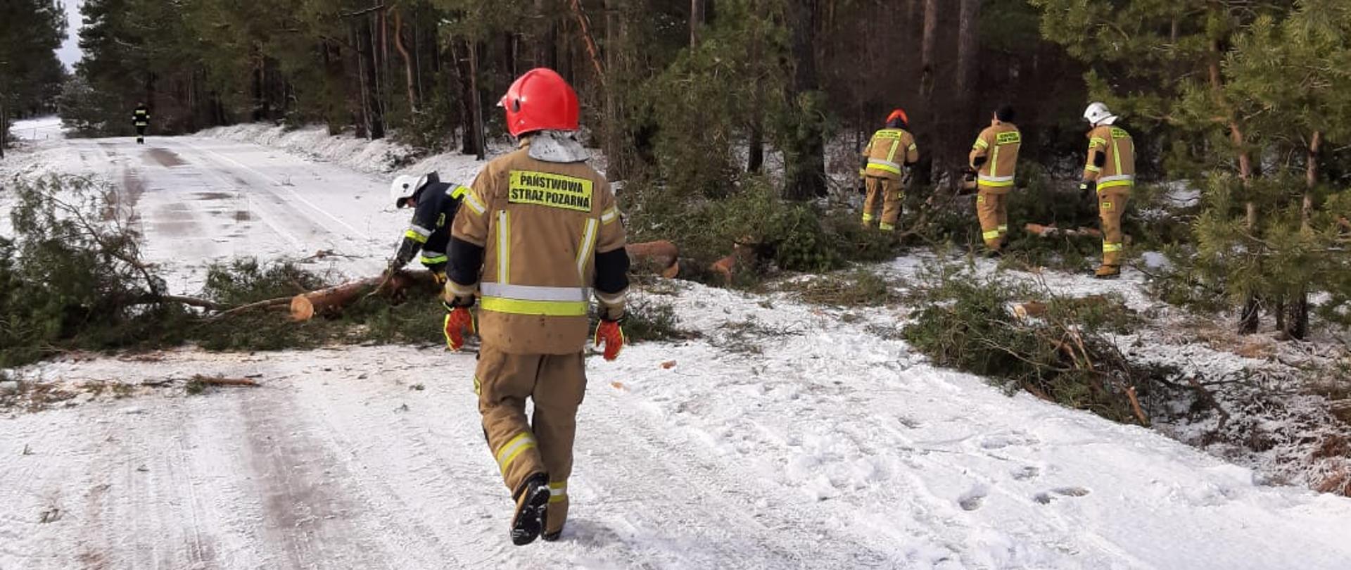 Skutki przejścia niżu "Nida" w powiecie sejneńskim