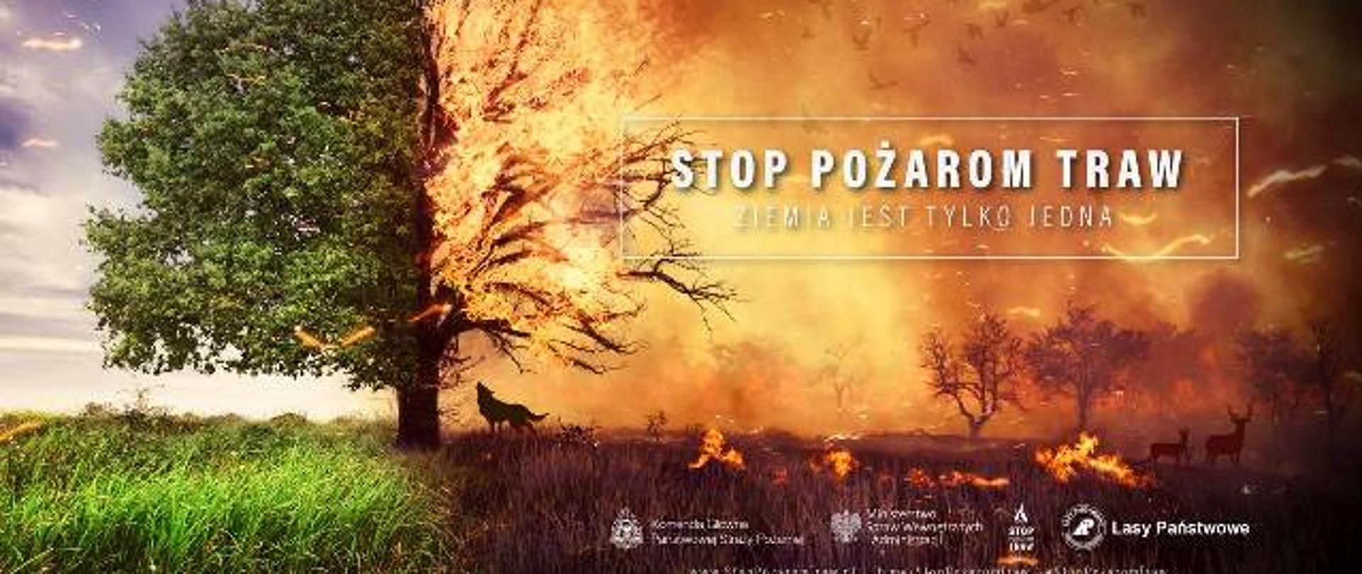 Zdjęcie przedstawia logo kampanii społecznej "Stop Pożarom Traw". Na zdjęciu widnieje płonące drzewo.