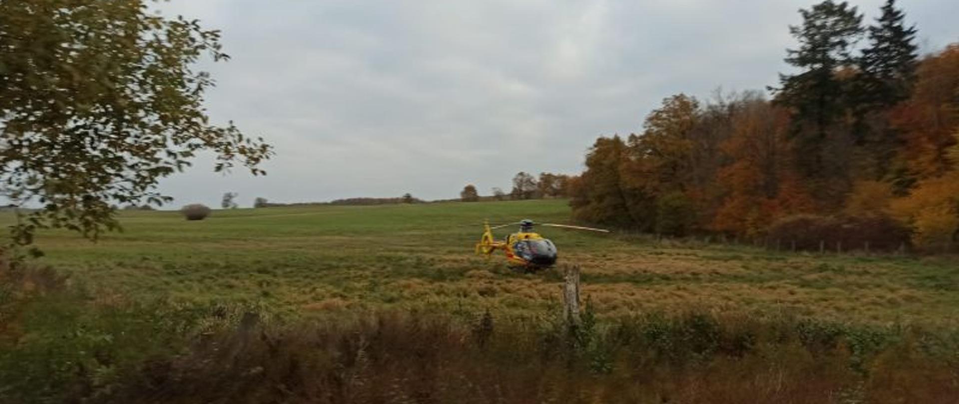 W centralnym punkcie zdjęcia żółty helikopter LPR. Helikopter stoi na środku łąki. Łąka nierówna z dużymi kępami jesiennej trawy. Na drugim planie po prawej stronie drzewa. Drzewa mają żółte i pomarańczowe liście. W tle niebieskie niebo