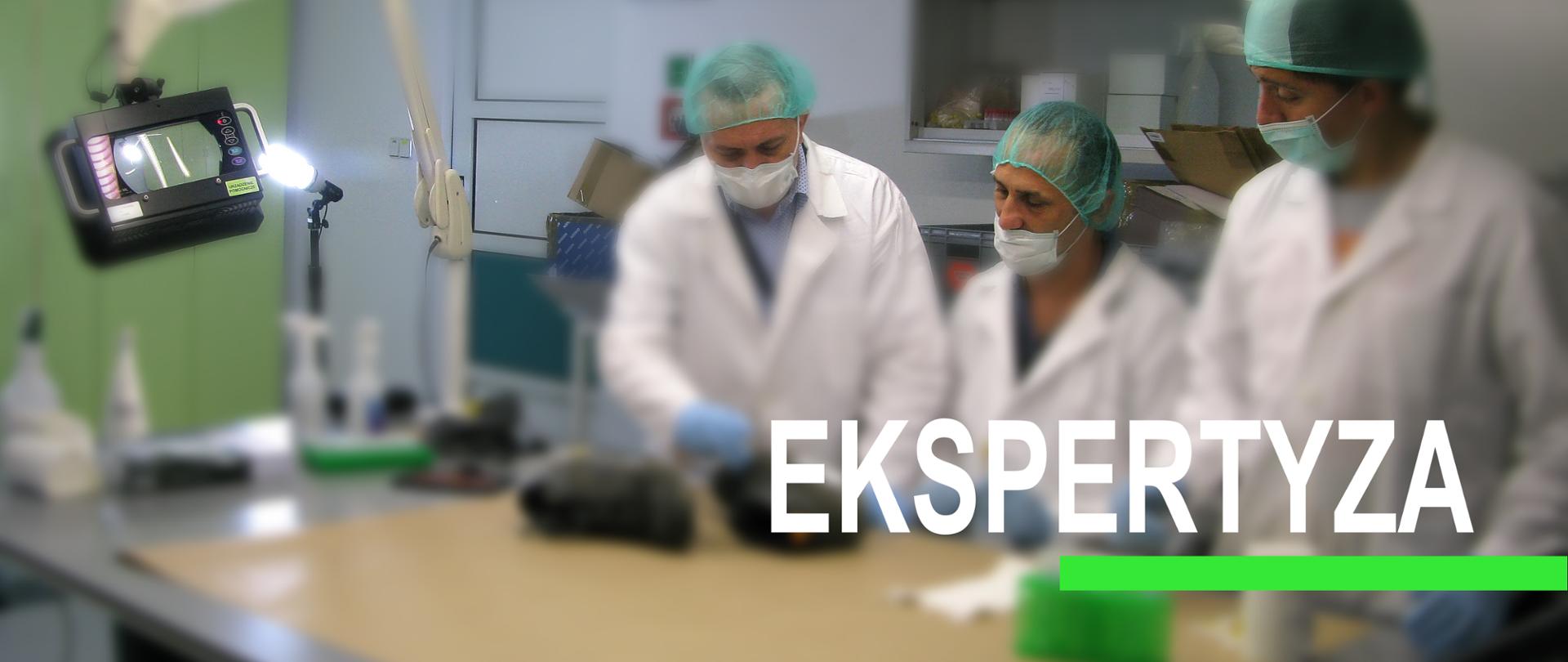 Ekspertyza-filmy VOD-baner