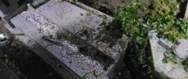 Zdjęcie przedstawia fragment cmentarza w Zielonej Wsi w porze nocnej. Na pierwszym planie widoczne są nagrobki uszkodzone przez powalone drzewo. 