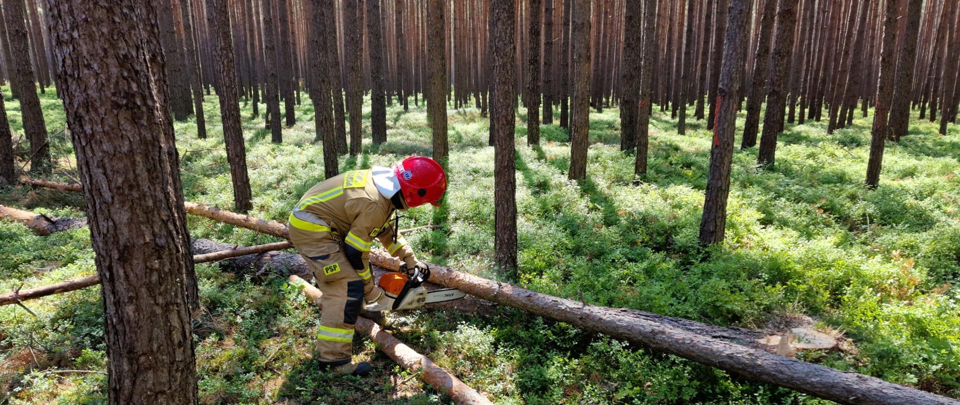 Strażak tnie obalone drzewa na krótsze odcinki