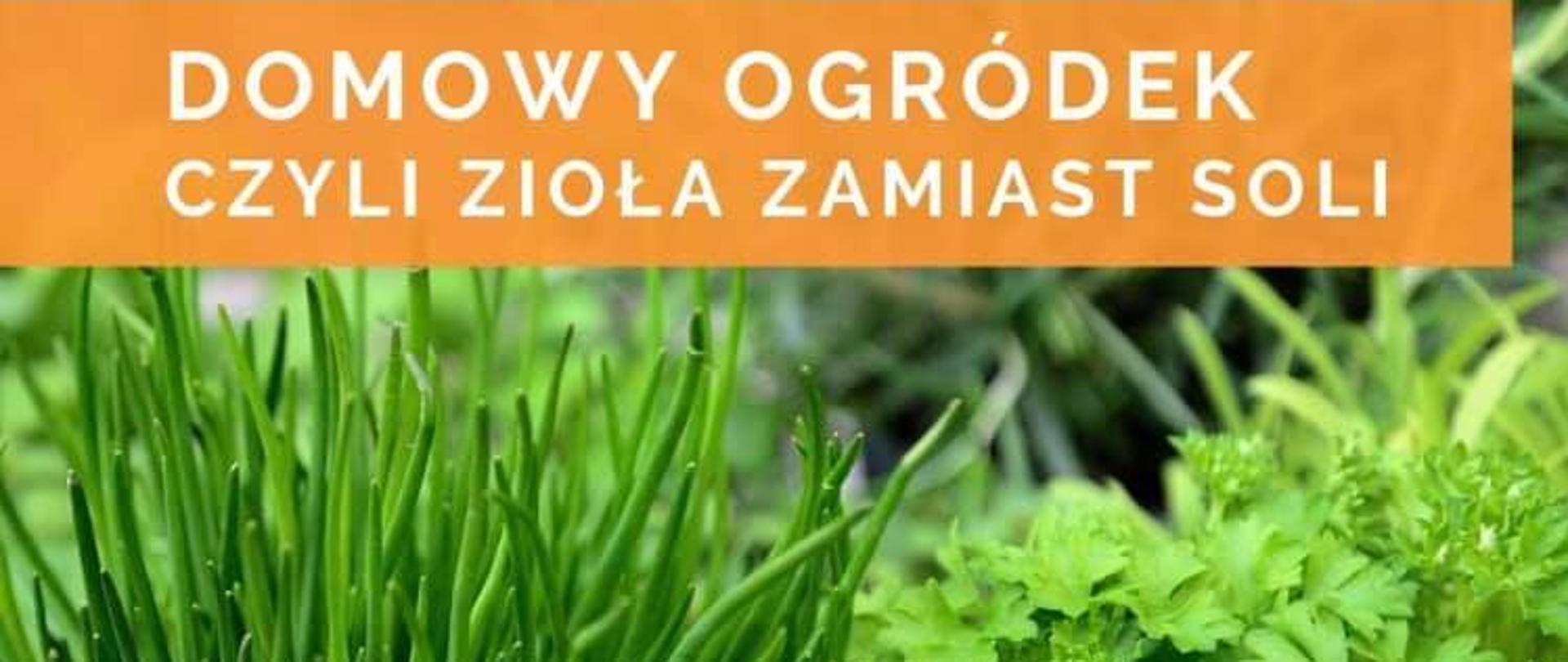Domowy_ogródek-zioła