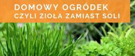 Domowy_ogródek-zioła