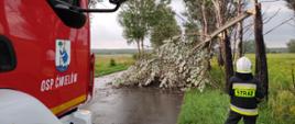 Złamany konar drzewa leżący na jezdni. Przy złamanym drzewie samochód OSP Ćmielów i strażak OSP