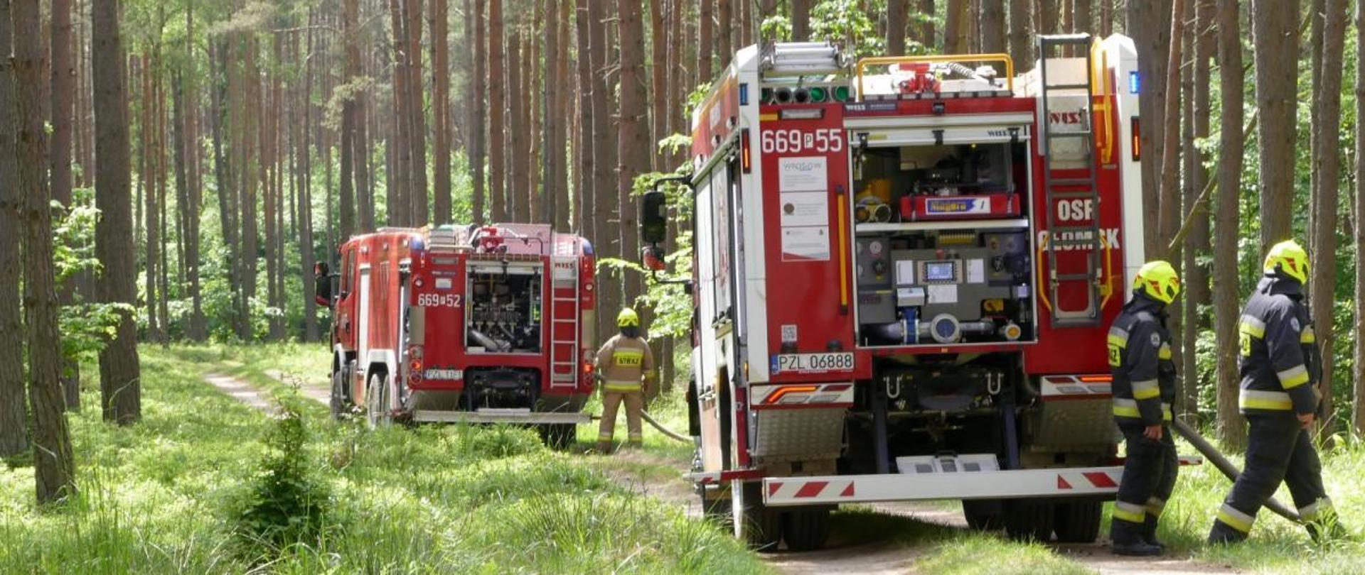 Wozy w trakcie ćwiczeń