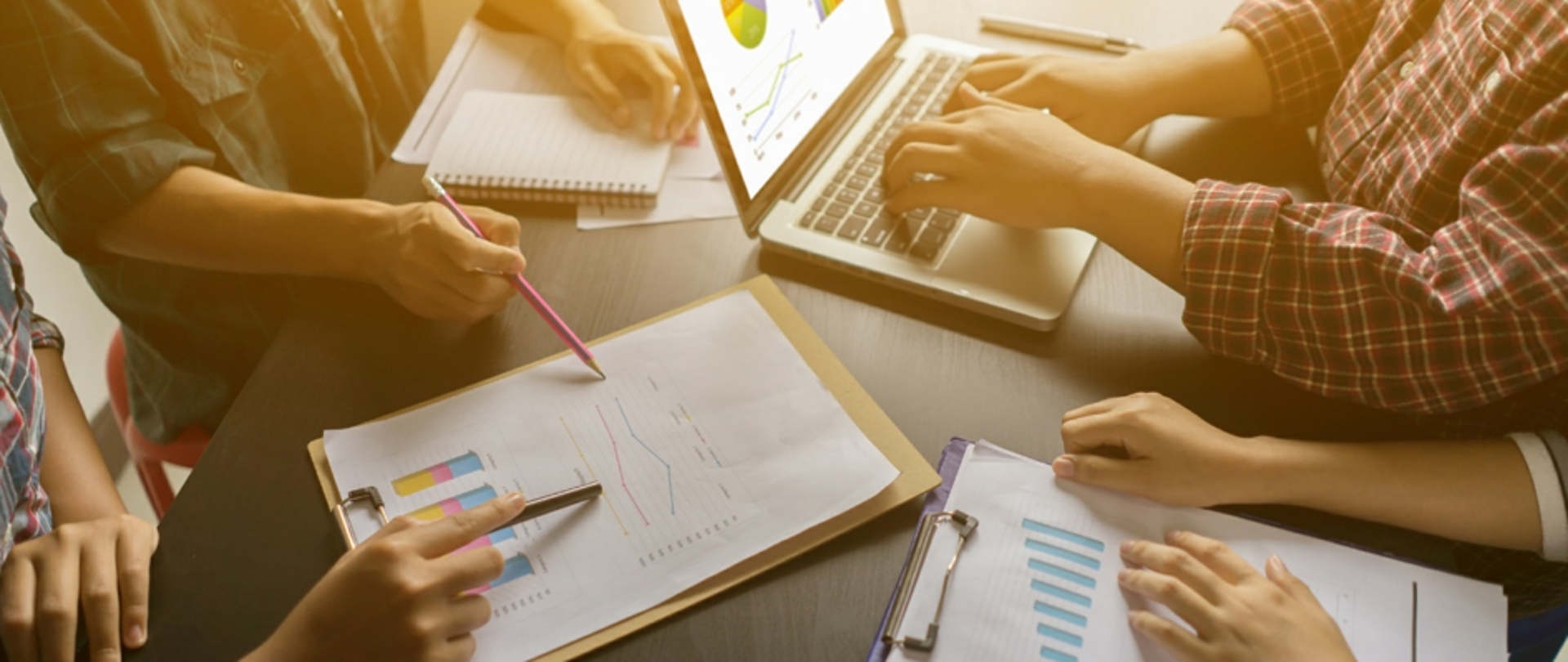 Ruszyła druga edycja zielonych staży 27.07-27.10.2020