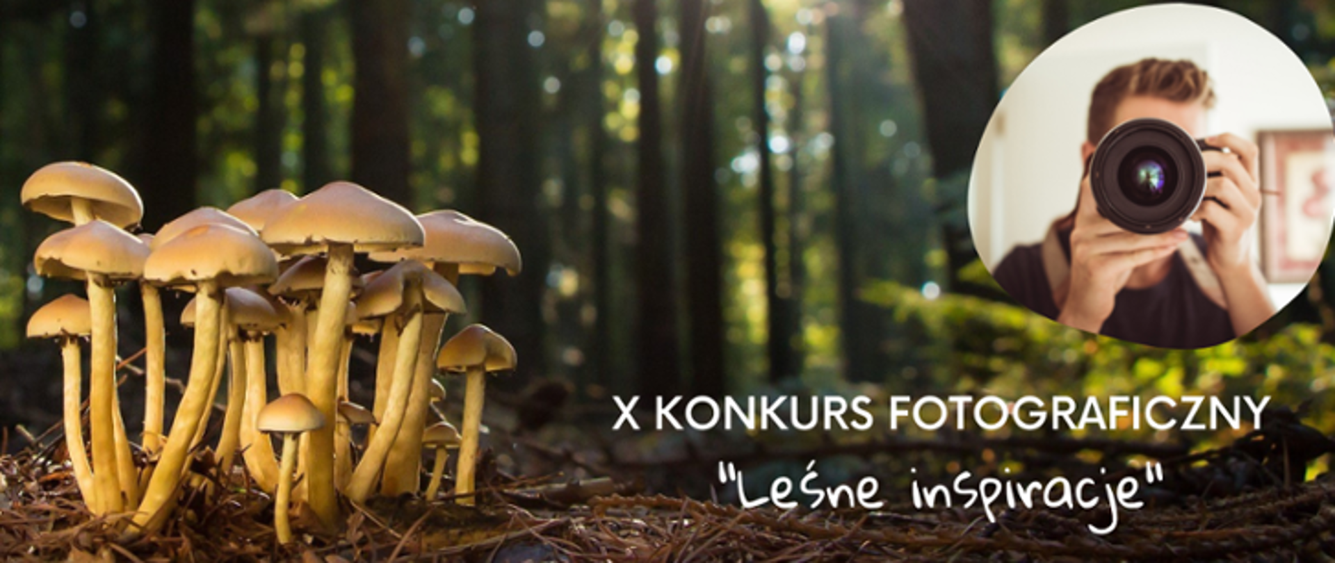 Zdjęcie grzybów w lesie z napisem: X Konkurs fotograficzny "leśne inspiracje"