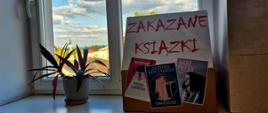 Na zdjęciu, na parapecie koło kwiatka stoi napis - Zakazane Książki. W tle, za oknem widać błękitne niebo z niewielką ilością chmur