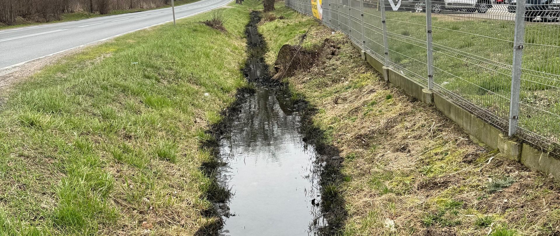 Przydrożny rów zanieczyszczony substancjami ropopochodnymi.