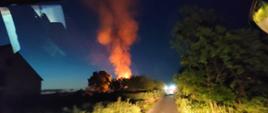 Zdjęcie przestawia widoczne płomienie i dym unoszący się nad drzewami oraz samochody strażackie