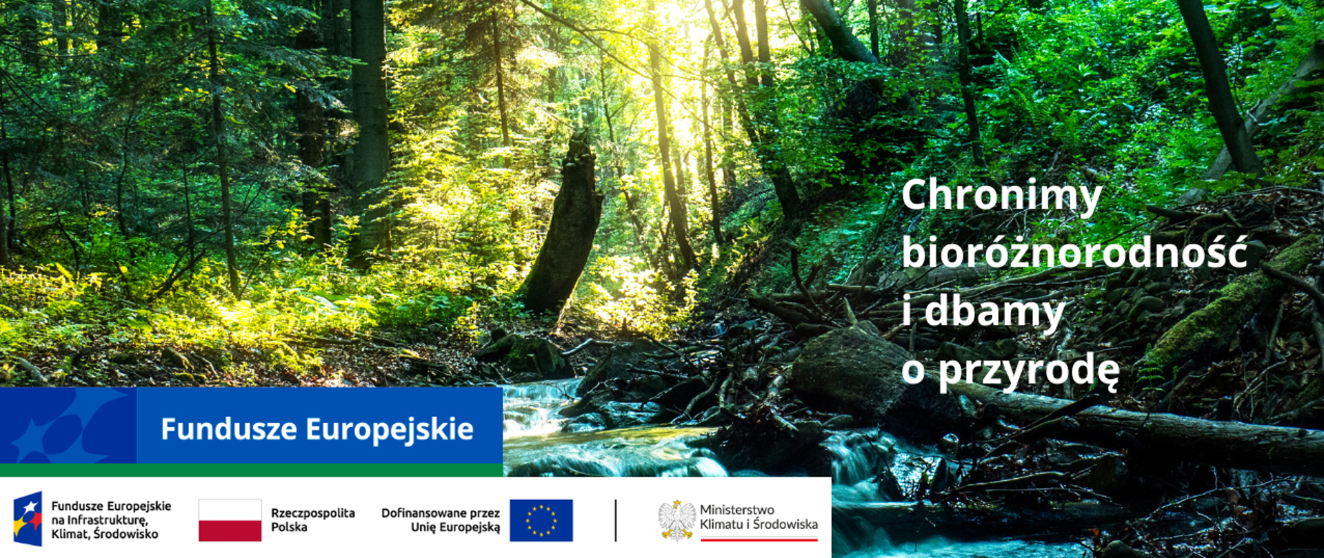 Widok lasu, płynąca rwąca rzeka, słoneczny dzień. Na grafice napis ""Chronimy bioróżnorodność i dbamy o przyrodę"