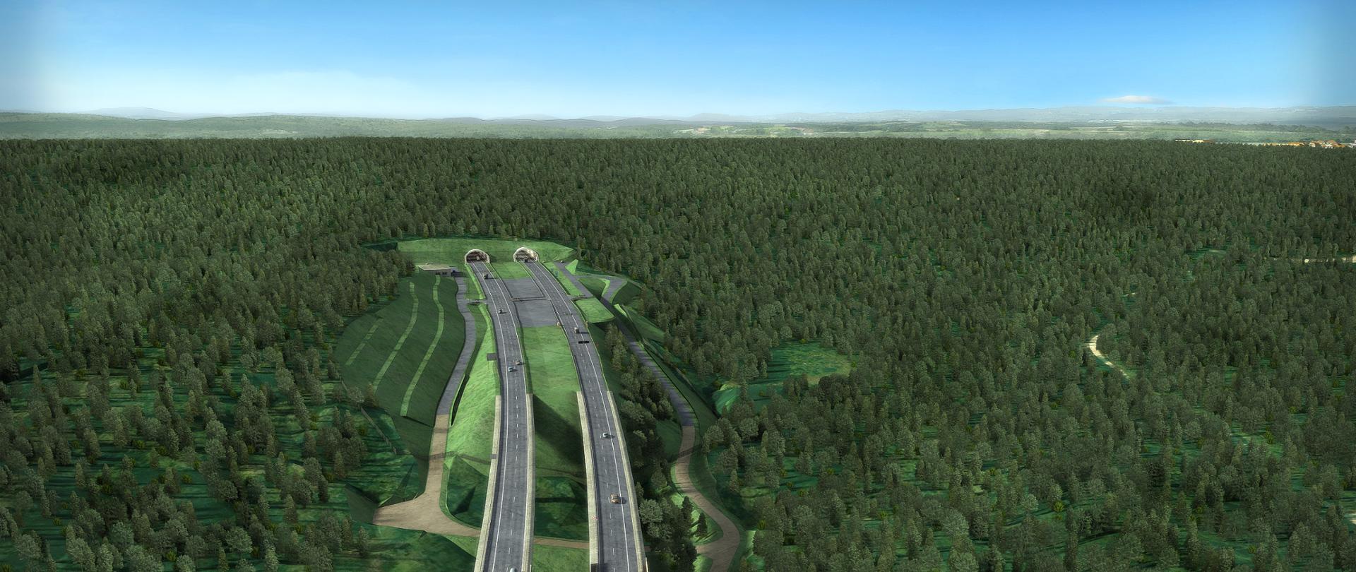 Wizualizacja - widok na wjazd do tunelu na odcinku S19 Rzeszów Południe - Babica 