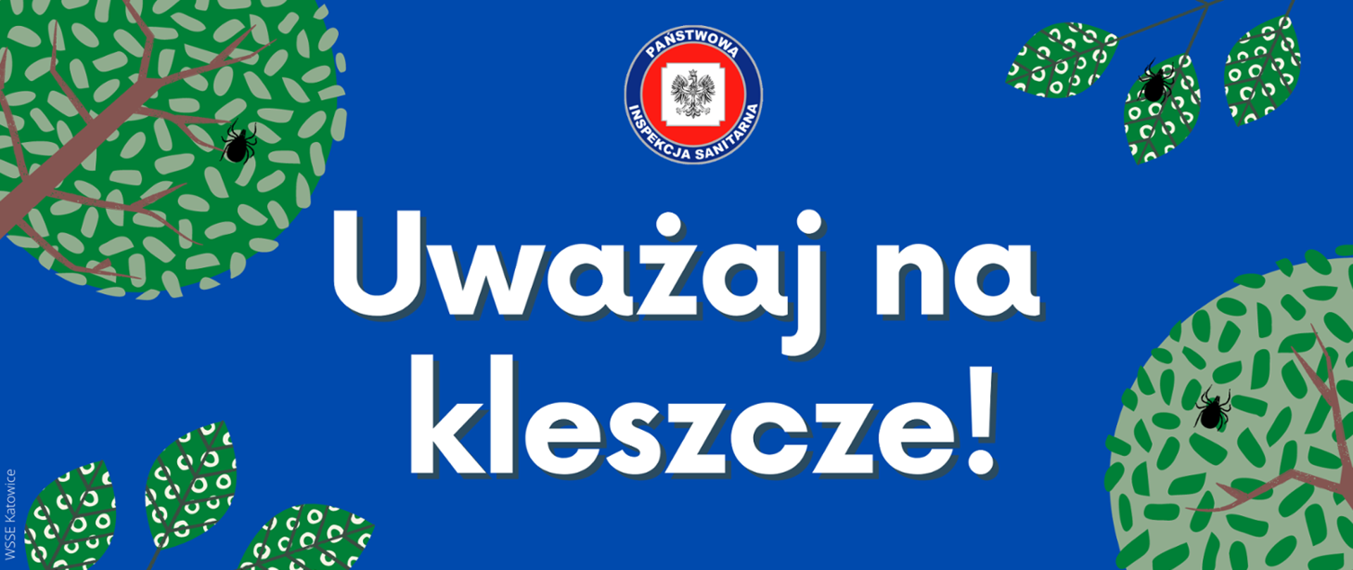 Uważaj na kleszcze