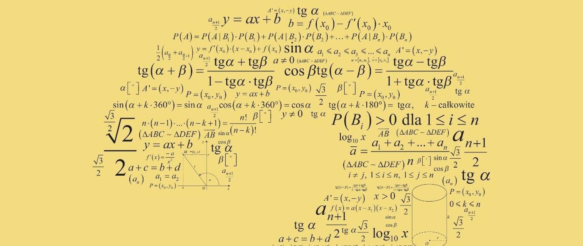 Obrazek przedstawiający okładkę maturalnych tablic matematycznych.