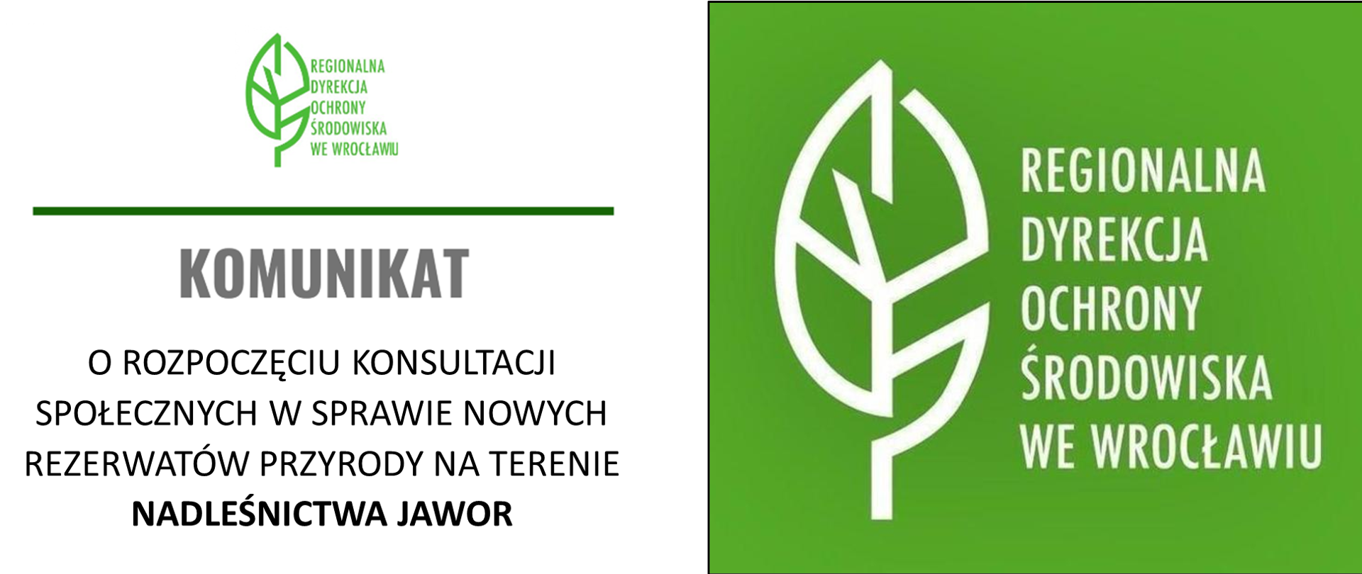 Konsultacje