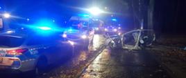 Zdjęcie ze zniszczonym przodem przełamanego samochodu w tle samochód straży pożarnej z włączonymi niebieskimi sygnałami i strażacy, samochody policji oraz karetki pogotowia.