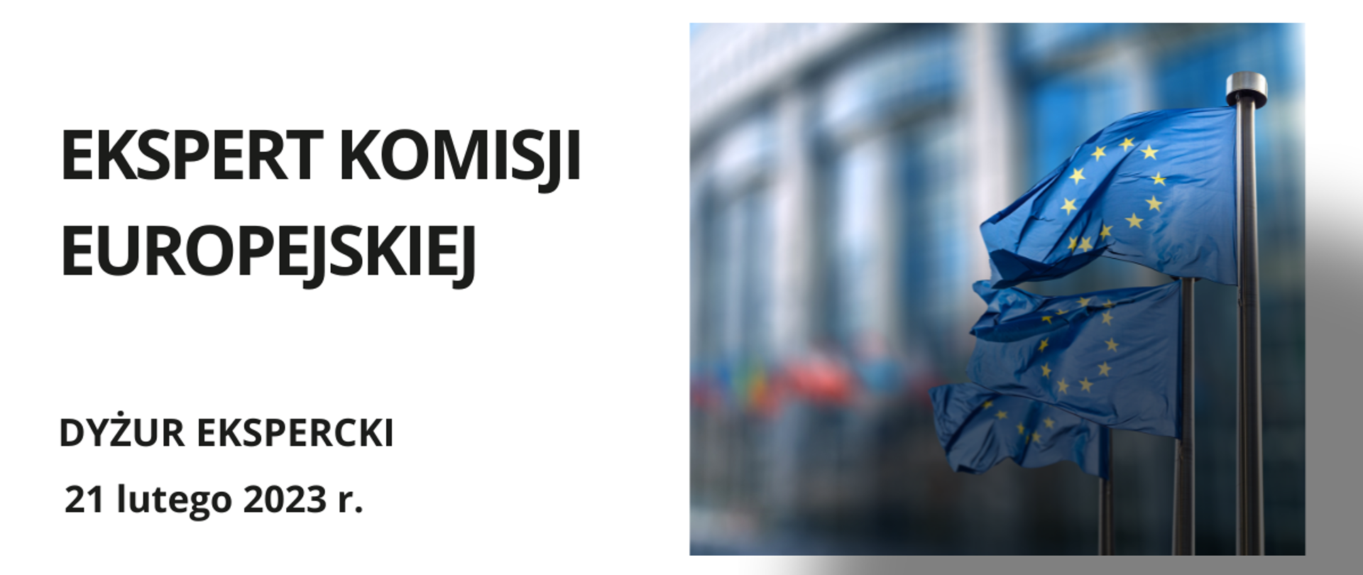 Ekspert Komisji Europejskiej (1200×507 px)