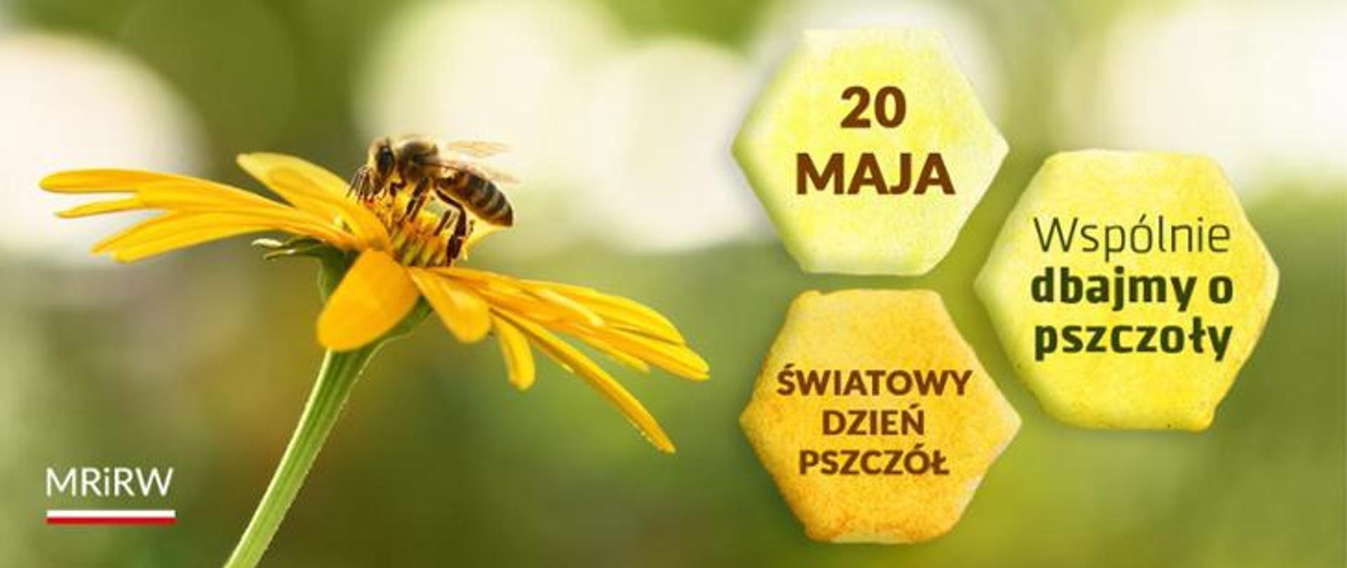 Infografika - w lewym dolnym rodu napis MRiRW, kwiat, na którym siedzi pszczoła, z prawej strony napisy: 20 maja, Wspólnie dbajmy o pszczoły, Światowy Dzień Pszczół 