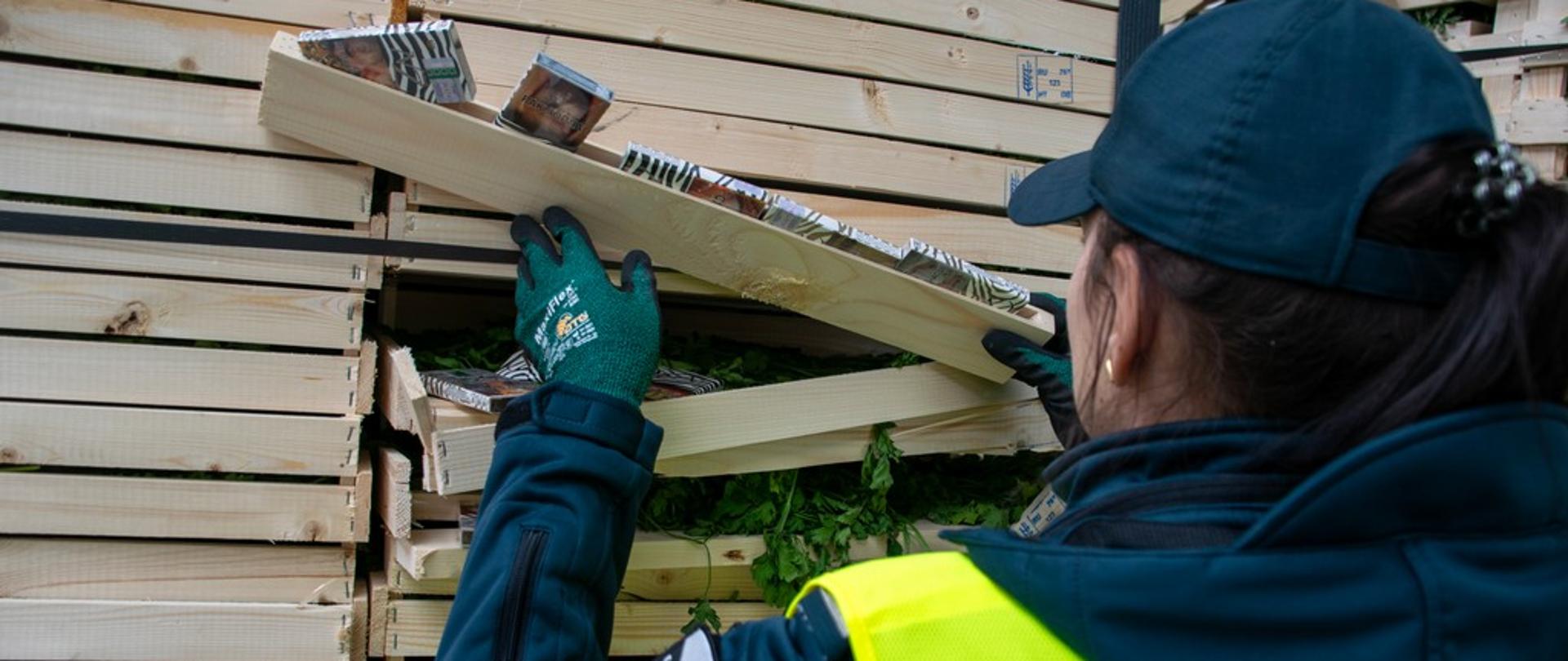 Funkcjonariuszka przy skrzynkach z natką pietruszki