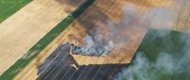 Pożar zboża na pniu w miejscowości Skrzetusz