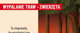 Grafika kampanii przeciw wypalaniu traw przedstawiająca pożar w lesie oraz informację, że wypalanie traw wyjaławia glebę i stanowi zagrożenie dla zwierząt.