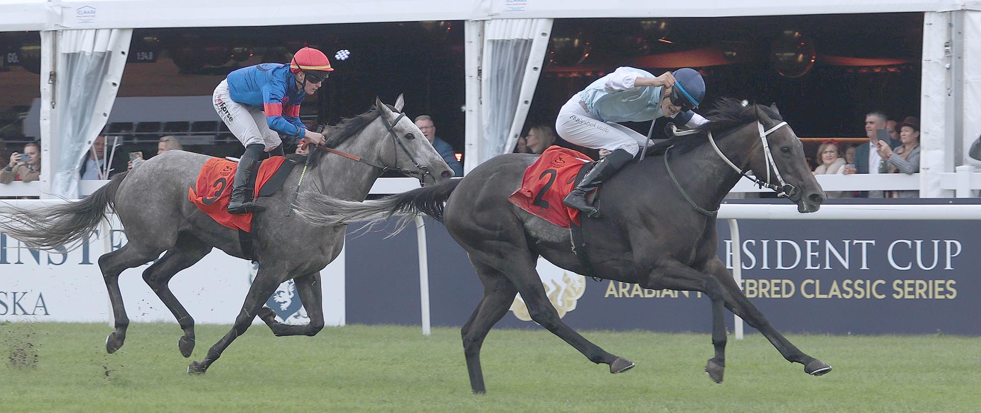 Formuła pierwsza dobiega do celownika