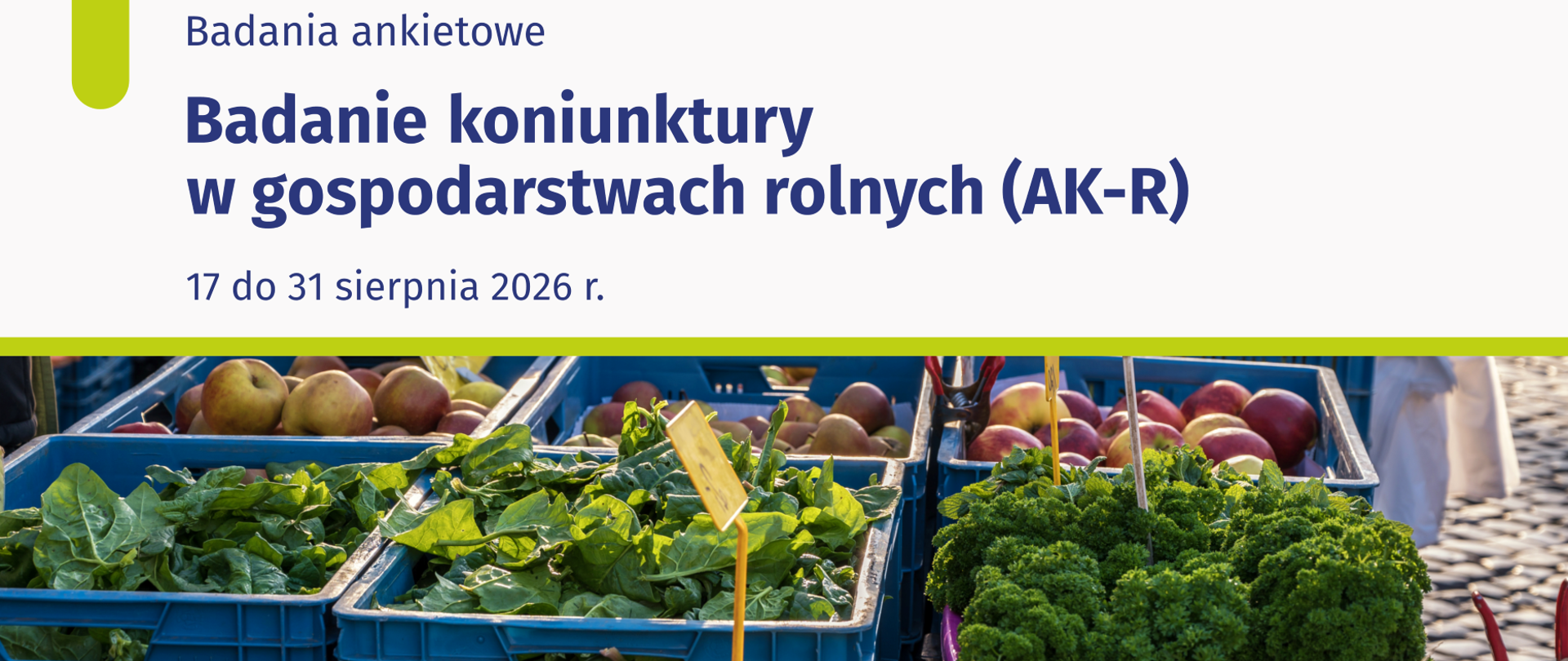 Plakat informujący o badaniu koniunktury w gospodarstwach rolnych przeprowadzanym przez Główny Urząd Statystyczny. Na zdjęciu niebieskie skrzynki z owocami i warzywami.