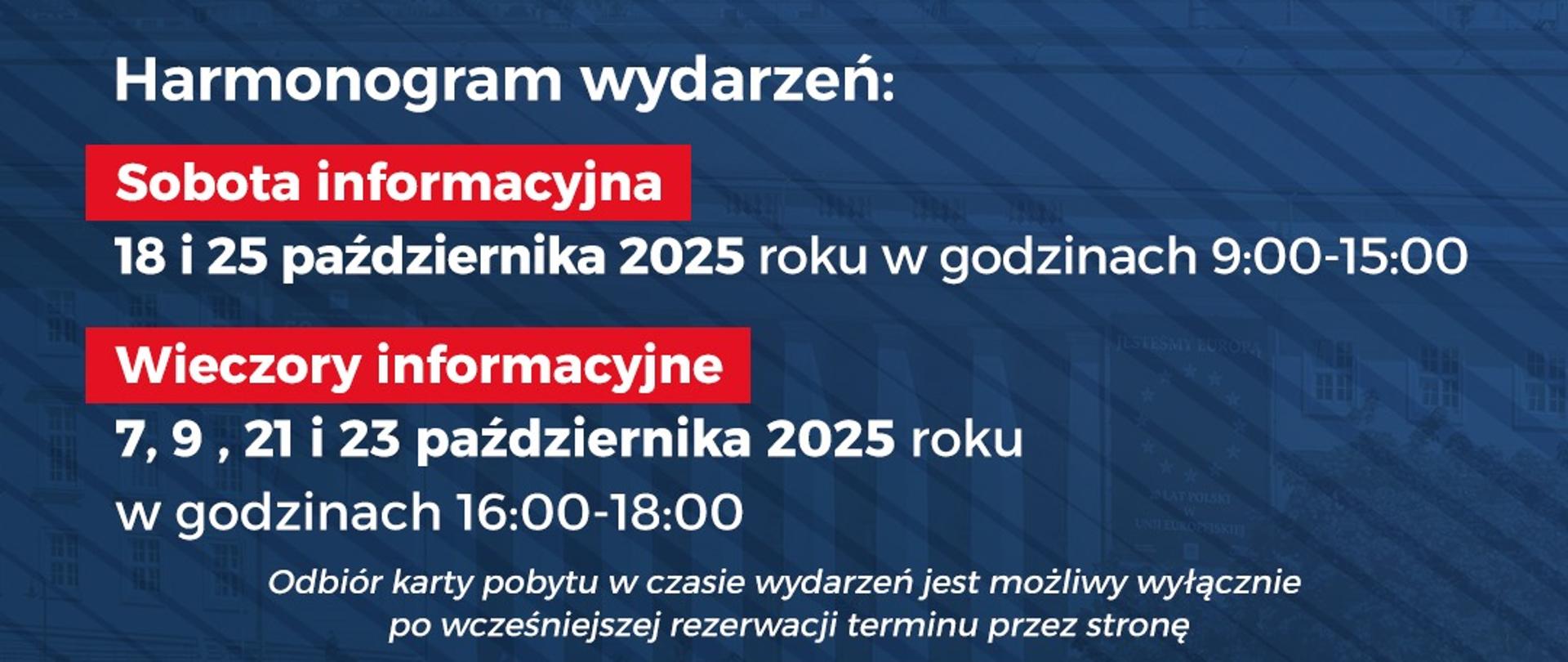 grafika informacyjna 