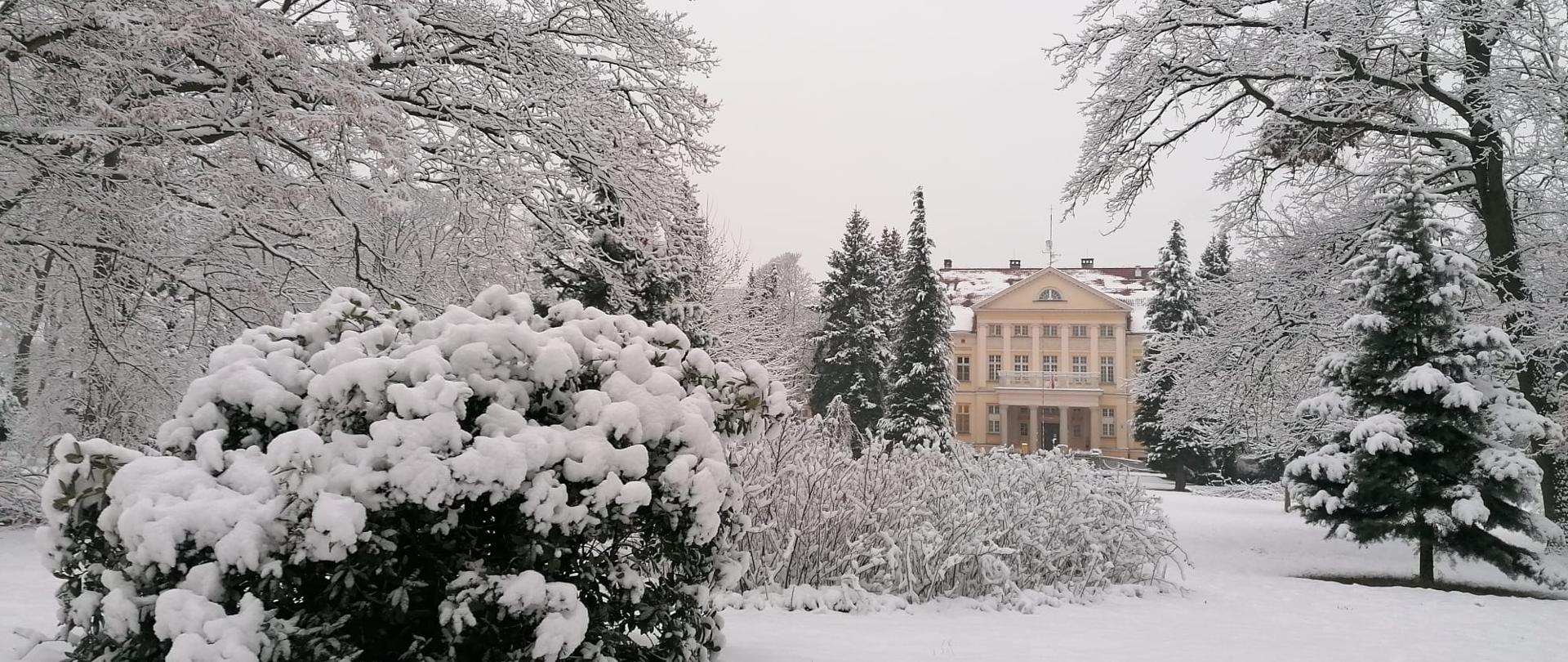 Zimowy park pełen uroku