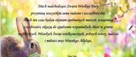 Życzenia Wielkanocne Komendanta Powiatowego PSP w Opatowie