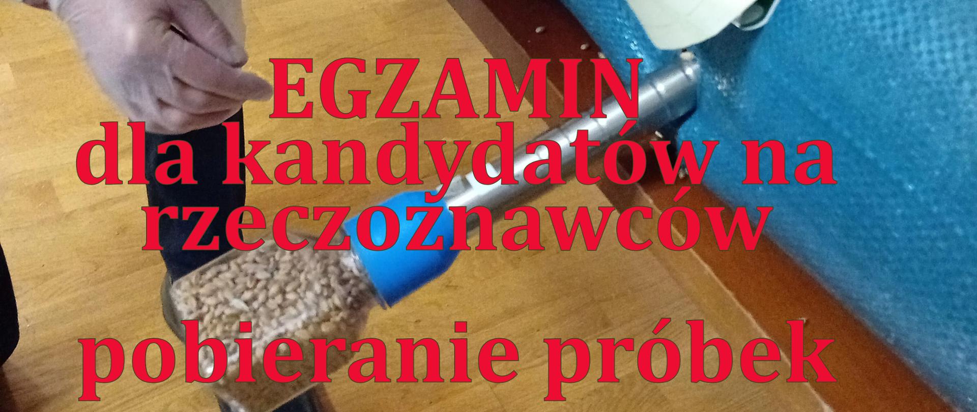 Baner egzamin