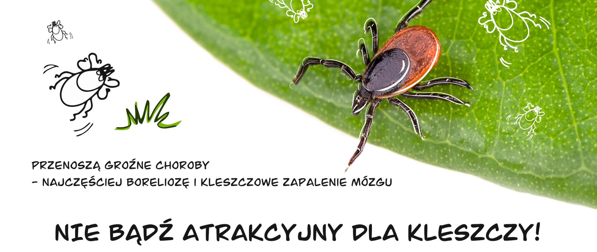 Kampania edukacyjna "Nie bądź atrakcyjny dla kleszczy". Kleszcze i informacje profilaktyczne na białym tle.