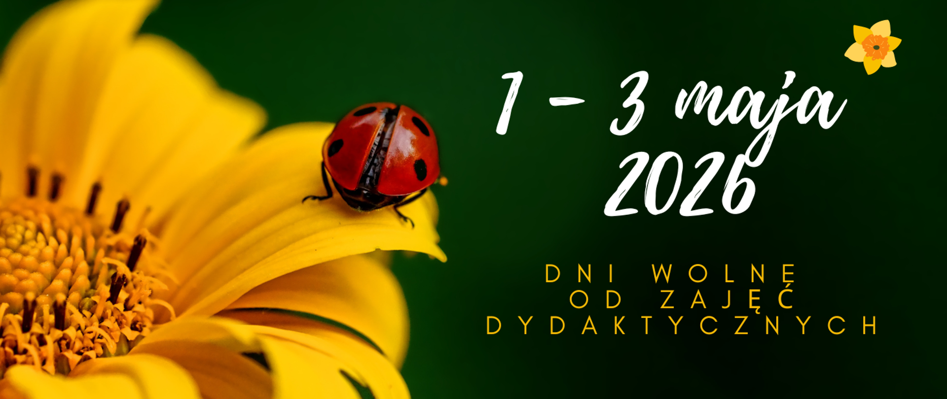 Na zielonym tle z lewej strony żółty kwiat z czerwoną biedronką ma jednym z płatków. Z prawej strony kolorowy tekst "1 - 3 maja 2026 dni wolne od zajęć dydaktycznych".
