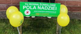 Inauguracja Kampanii Żonkilowe Pola Nadziei 2025/2026