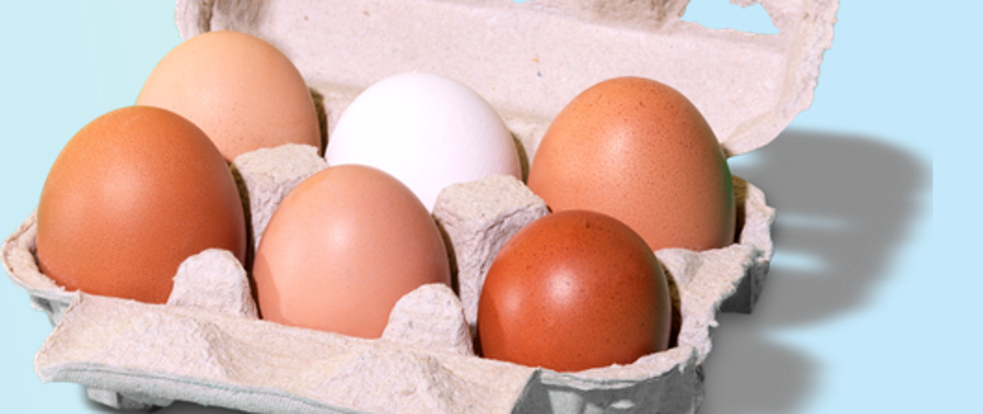 zdjęcie do zdrowej zywniości