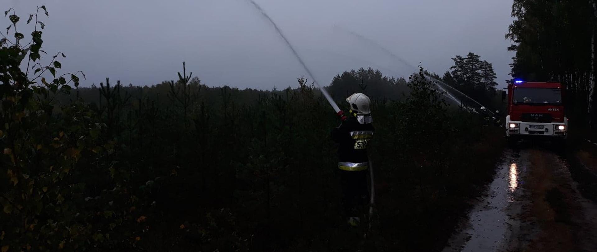 Ćwiczenia leśne „Las 2020”