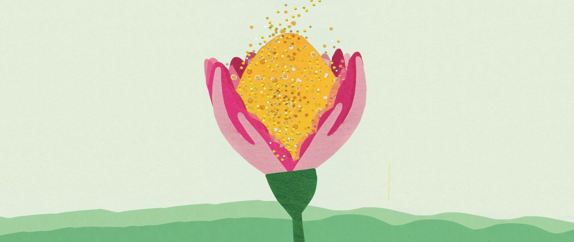 zdjęcie przedstawia umieszczony centralnie rozwarty pąk czerwonego tulipana na tle zielonej łąki i nieba do którego wpadają złote, drobne monety