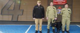 Trzej strażacy z labradorem