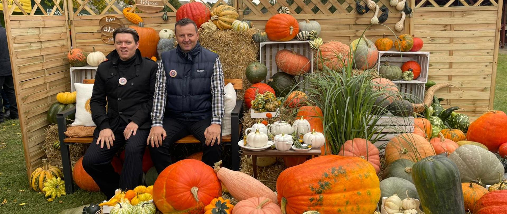 Na ławce wśród wielu kolorowych dyń siedzi dwóch inspektorów PIORiN