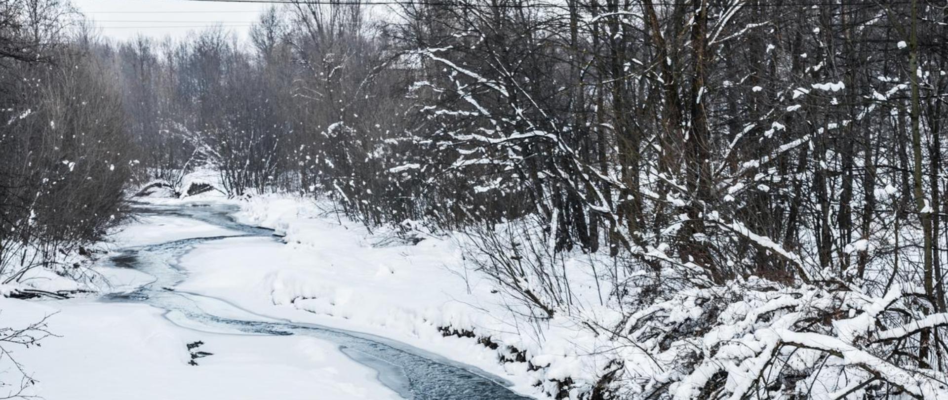 Na zdjęciu jest zaśnieżony las, przez który przepływa rzeka.