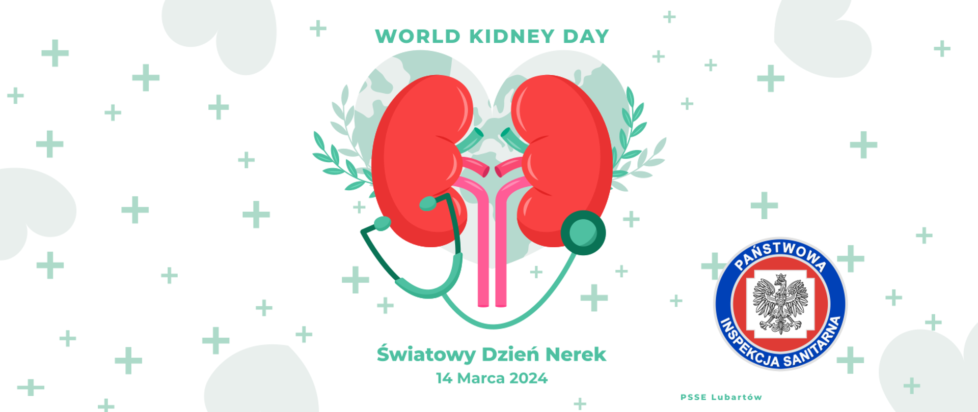 Światowy Dzień Nerek