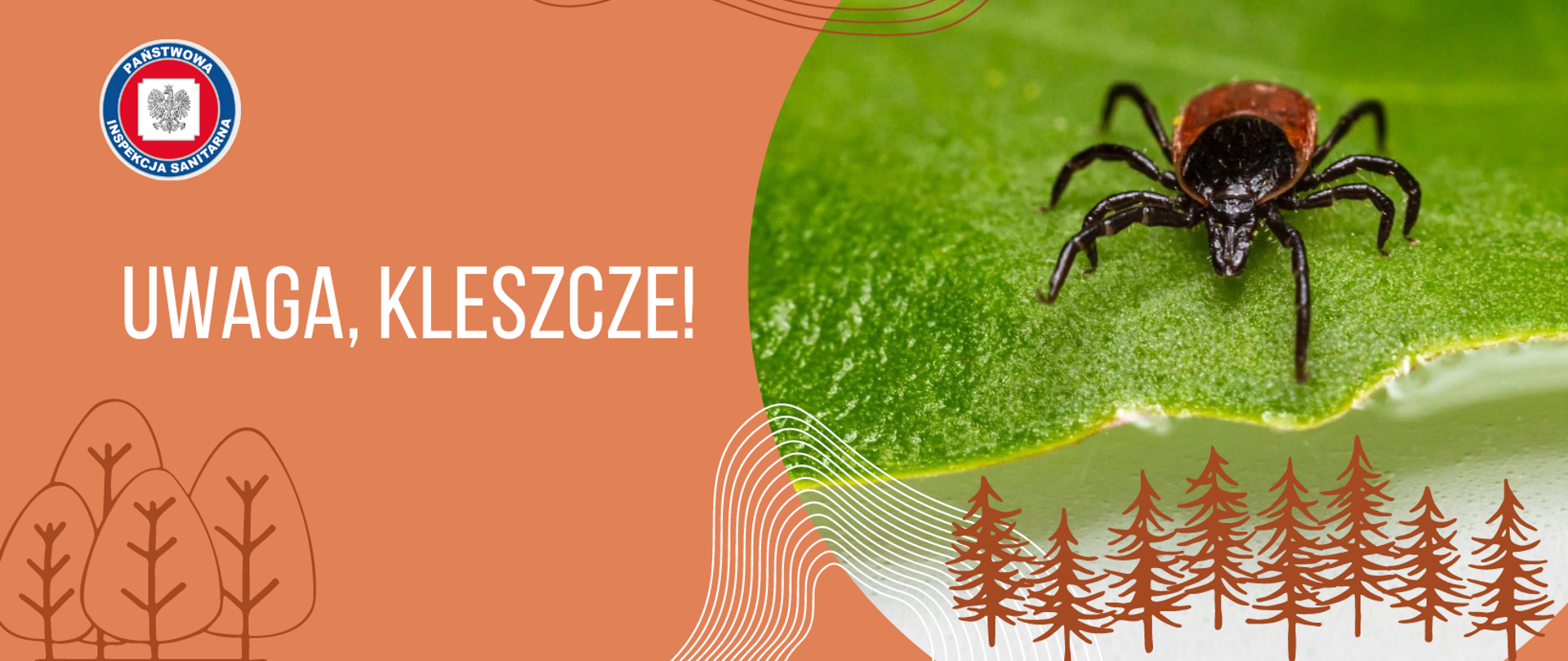 Uwaga_kleszcze_2023