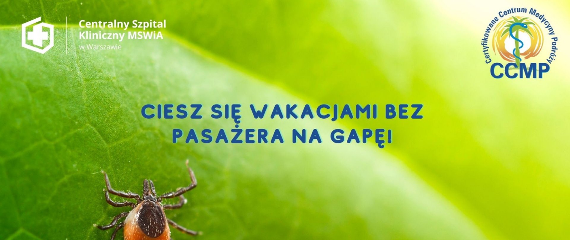 ciesz sie wakacjami bez pasażera na gapę!