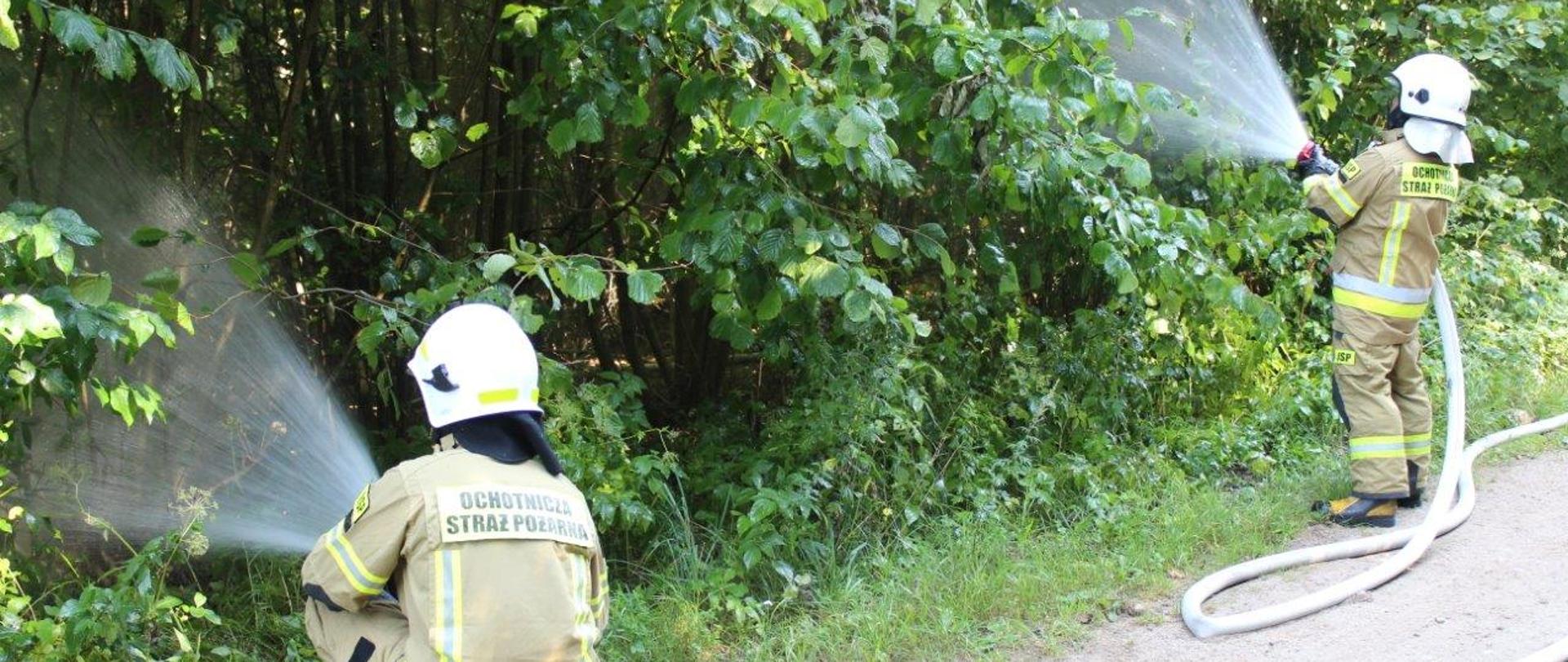 Ćwiczenia ratownicze na kompleksie leśnym Nadleśnictwa Czarna Białostocka w Puszczy Knyszyńskiej