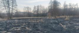 Pożar trawy w powiecie pińczowskim