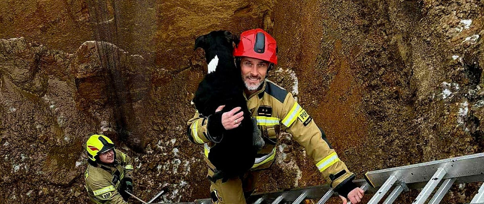 Pomagamy nie tylko ludziom – uratowany pies