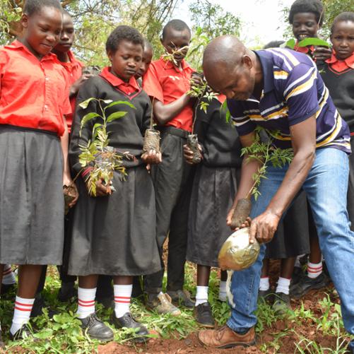 Grupa uczniów trzymających w rękach sadzonki przygląda się nauczycielowi sadzącemu drzewko