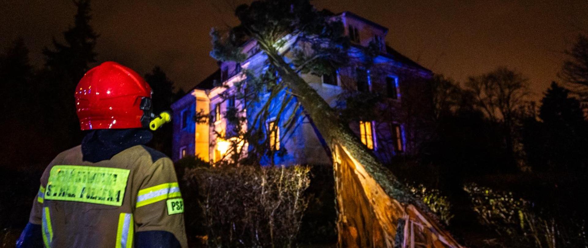 Topola leży na domu