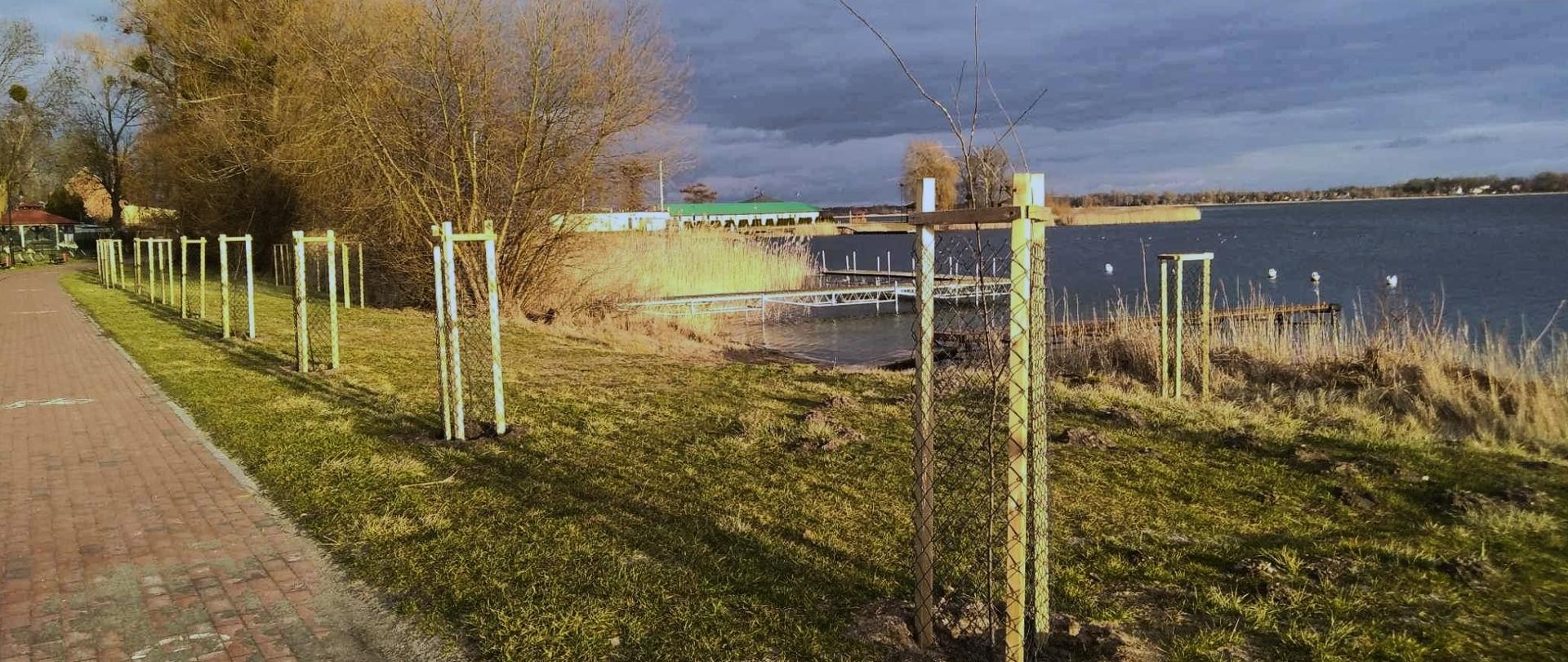 strefy buforowe powidz 